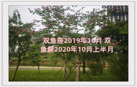 双鱼座2019年10月 双鱼座2020年10月上半月